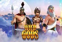 Wild Gods slot